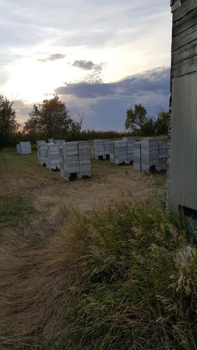 McGregor Kinder Morgan Yard