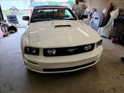 Shelly's Auto Services