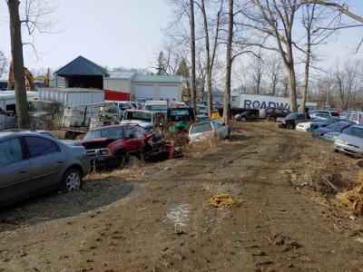 Ford's U Pull It05
