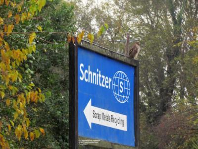 Schnitzer Southeast04