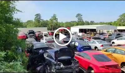 Wicho Auto Parts022