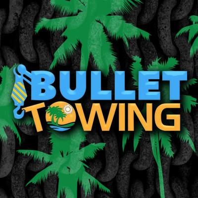 Bullet Towing, Palmetto Estates, Florida