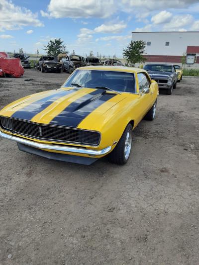 IAA Fargo