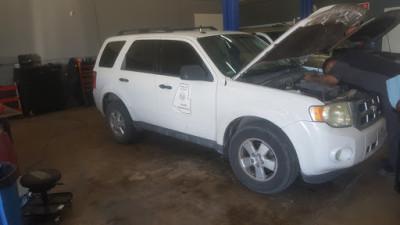 Pan American Auto, LLC, Pharr, Texas