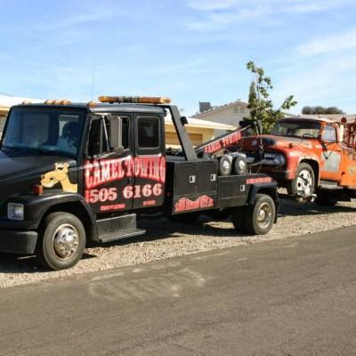 Camel Towing, Lake Havasu City, Arizona