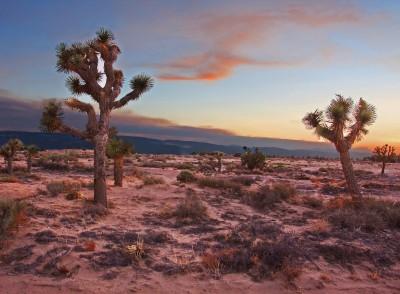 Mojave Desert, Azusa, California