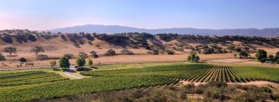 Rusack Vineyards, Solvang, California