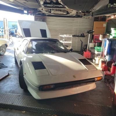 Thoroughbred Motors, Lake Sarasota, Florida