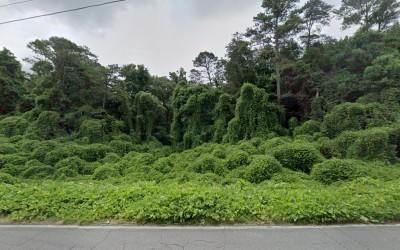 North GA Roadside, LLC