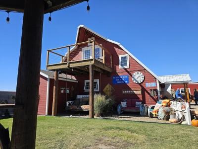Jack Creek Salvage