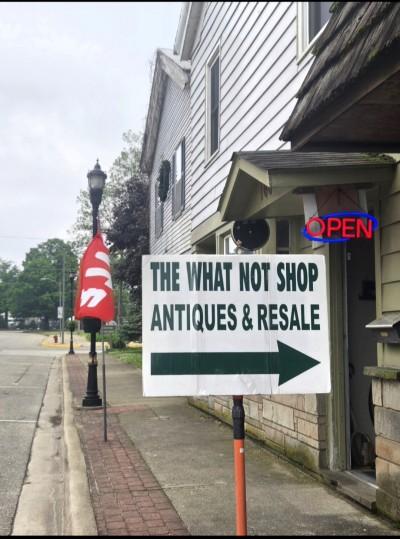 The What-Not Shop