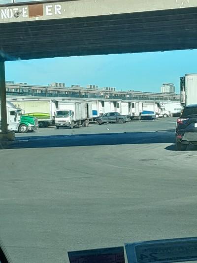 D'Arrigo Delivery Inc, Bronx, New York