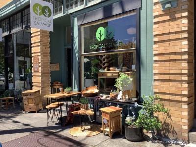 Tropical Salvage, Portland, Oregon