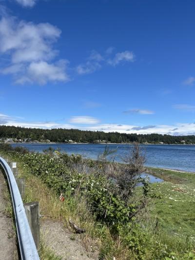 Fox Island Bridge, Gig Harbor, Washington