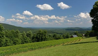 Chester Gap Cellars, Front Royal, Virginia