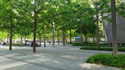 Survivor Tree, New York, New York