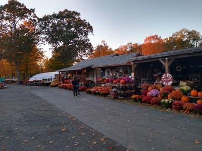 Rock Ridge Farm