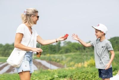 Center Grove Orchard, Cambridge, Iowa