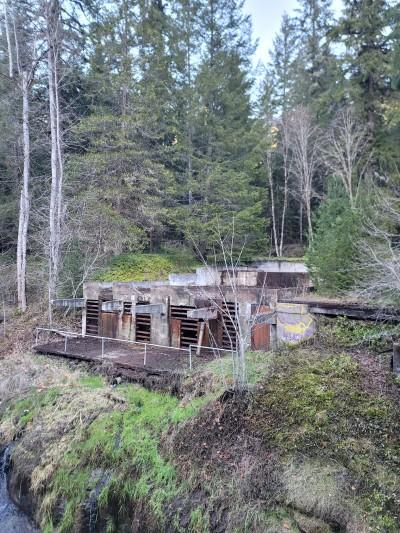 Kitson springs