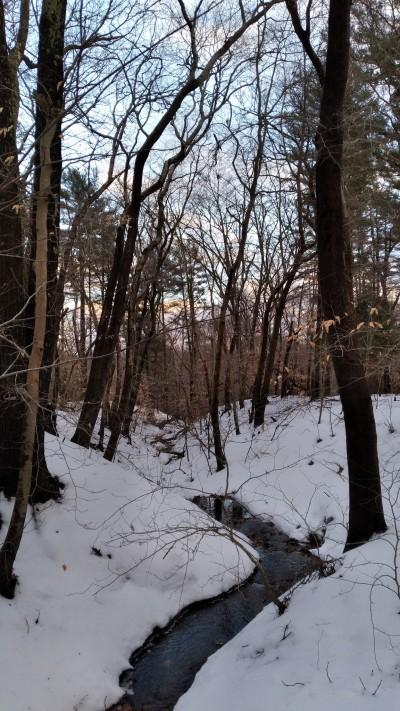 Camp Titicut, Bridgewater, Massachusetts