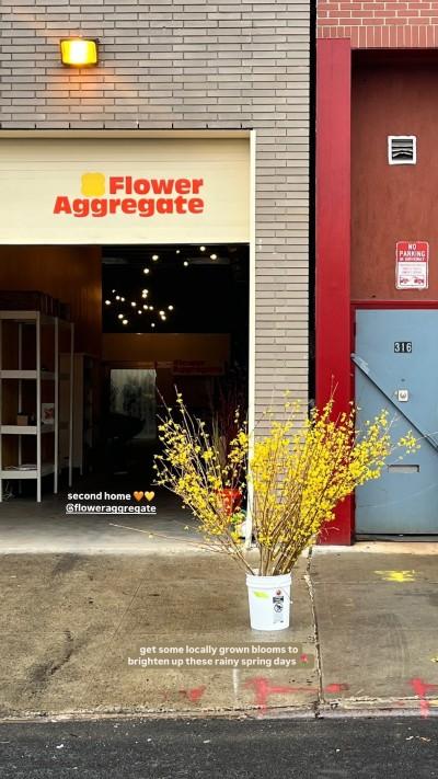 Flower Aggregate, Brooklyn, New York