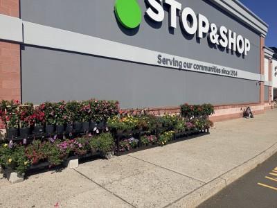Stop & Shop, Emerson, New Jersey