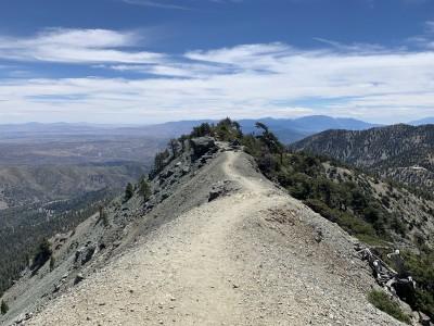 Mt San Antonio, Azusa, California