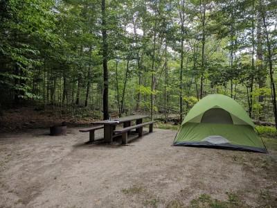 Moosalamoo Campground, Salisbury, Vermont