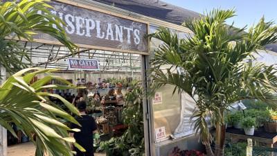 Groovy Plants Ranch