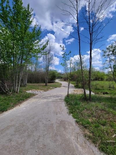 Chippewa Lake Park, Chippewa Lake, Ohio