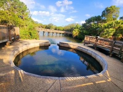 Wall Springs Park, Palm Harbor, Florida