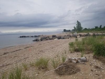 The Creek Beach, Lattingtown, New York