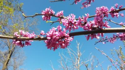 Manor View Farm Inc, Monkton, Maryland