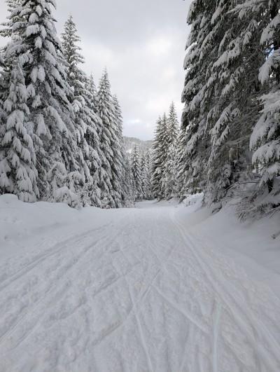 Cabin Creek Sno-Park, Easton, Washington