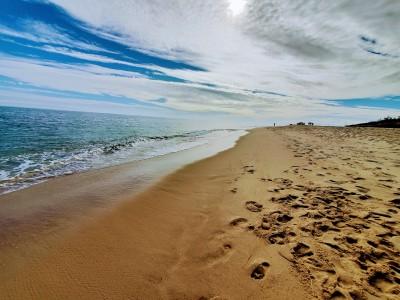 Chappaquiddick Island