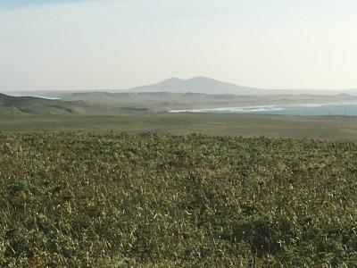 Saint Paul Island, St Paul, Alaska