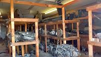 Hillbilly Auto Parts01