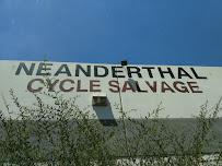 Neanderthal Cycle Salvage01