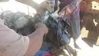 Callahan Junk Cars01