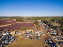 Robertson's Auto Salvage011
