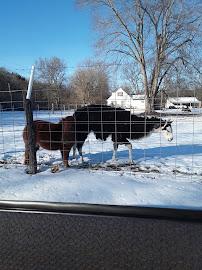 Fenton Auto Salvage011