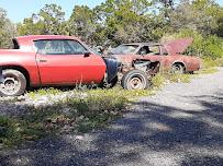 Snake Road Auto Salvage013