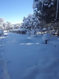 WM - Pinetop Lakeside Hauling & Lone Pine Transfer Station015