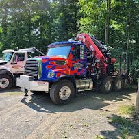 Woodchips Tree, Crane and Dumpsters016