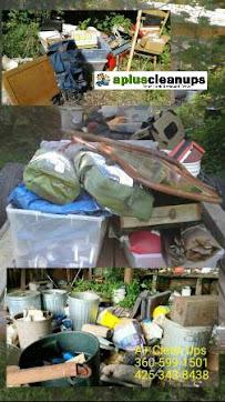 A+ Clean-Up (Junk Removal and Property Cleanups)017