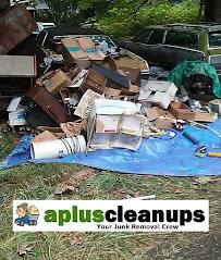 A+ Clean-Up (Junk Removal and Property Cleanups)018