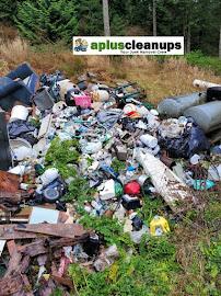 A+ Clean-Up (Junk Removal and Property Cleanups)019