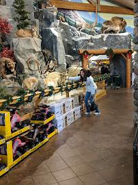 Cabela's019