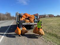 Pack Rat Hauling - Leesburg, VA02