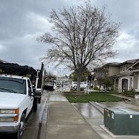 Speedy yard cleaning and junk removal02